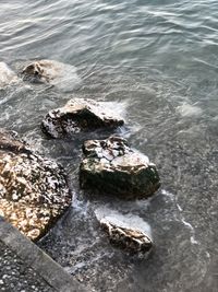 High angle view of rocks at sea shore