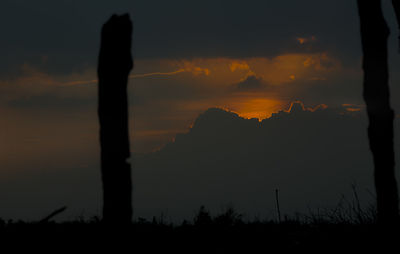 Silhouette trees against sky during sunset