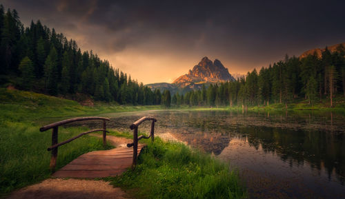 Footpath amidst trees against sky during sunset