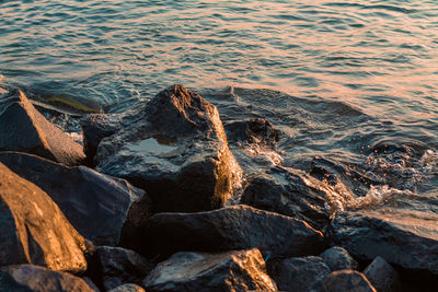 High angle view of rocks at beach during sunset