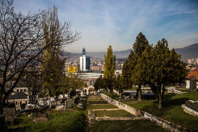 Trees in cemetery against buildings