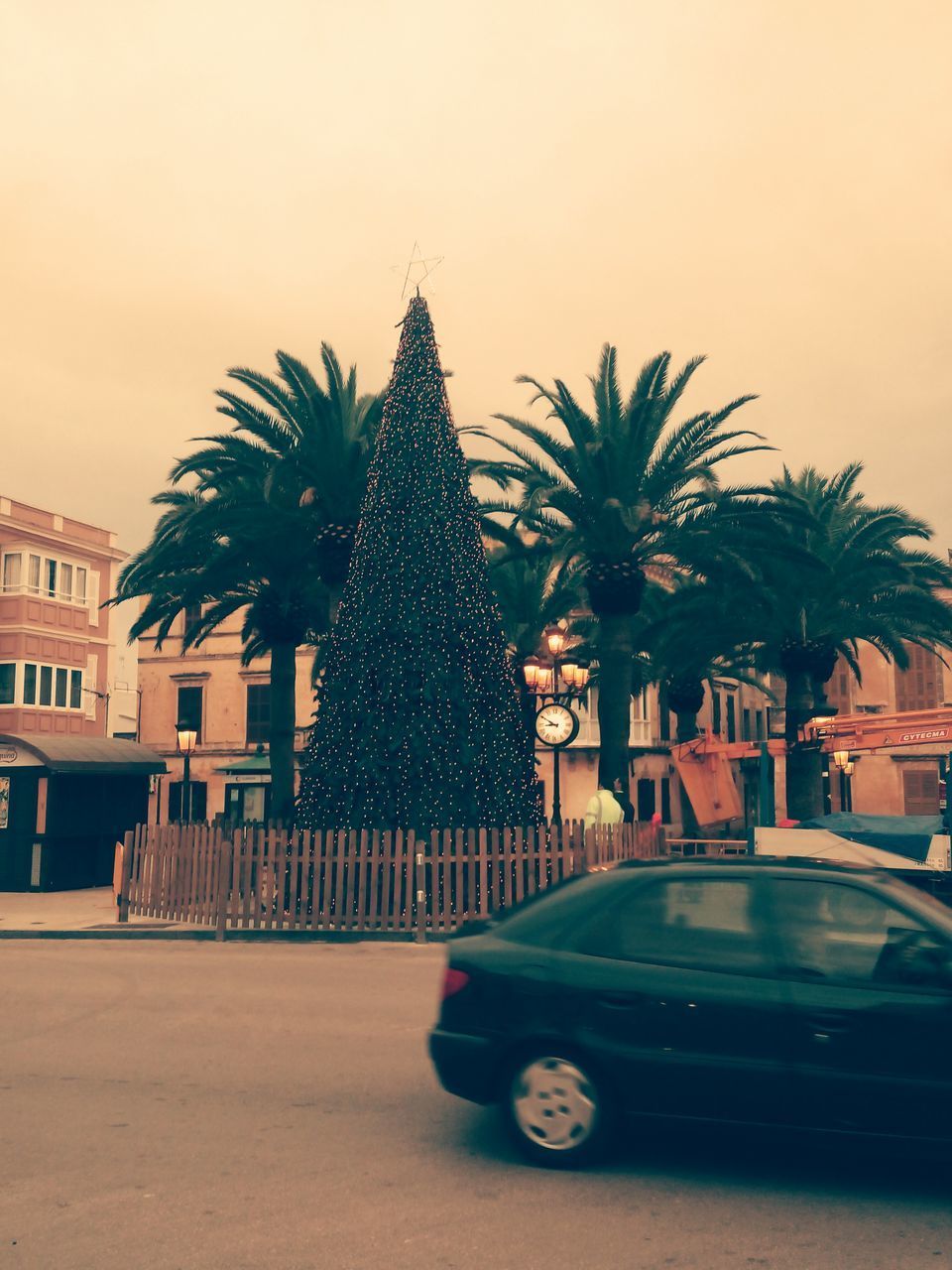 PALM TREE BY STREET AGAINST SKY