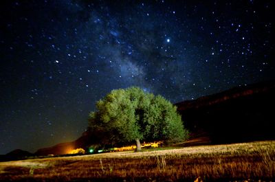 Scenic view of field against sky at night