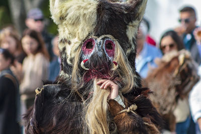 Close-up of man wearing mask during traditional festival