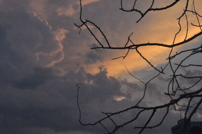 Low angle view of silhouette tree against sky