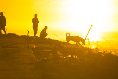 Silhouette people with dog against sky during sunset