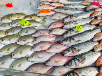 Full frame shot of fish for sale in market