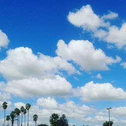 Low angle view of trees against cloudy sky