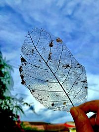 Close-up of hand holding dry leaf against sky