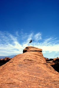 Low angle view of bird against sky