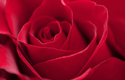 Full frame shot of crumpled paper