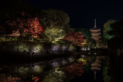 Reflection of trees in water