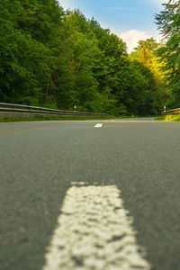 Surface level of road by trees in city
