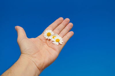 Cropped hand of woman holding pills against blue background