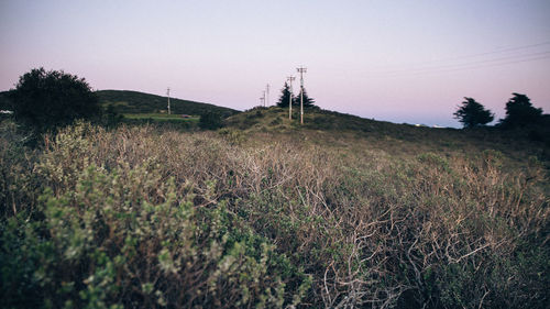 Scenic view of farm against sky