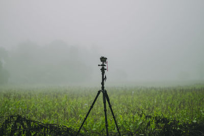 Scenic view of agricultural field during foggy weather