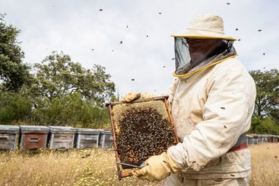 Rural and natural beekeeper, working to collect honey from hives