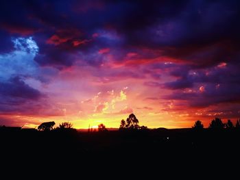 Silhouette plants against dramatic sky during sunset