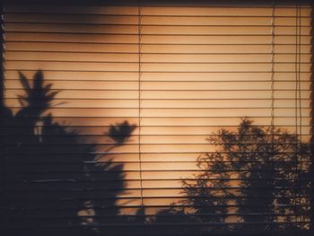 Defocused image of silhouette trees against clear sky