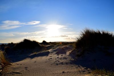 Scenic view of beach against sky during sunset