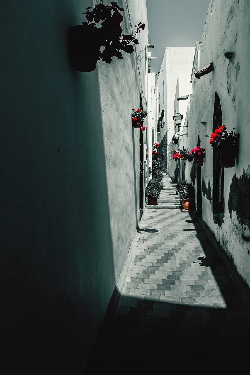 NARROW STREET AMIDST BUILDINGS