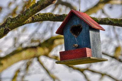 Red and blue bird nesting box with heart shaped entrance hangs on tree