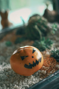 Close-up of pumpkin on stone during halloween