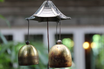 Close-up of bell peppers hanging on wood