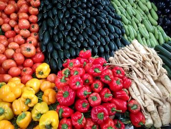 Close-up of multi colored fruits