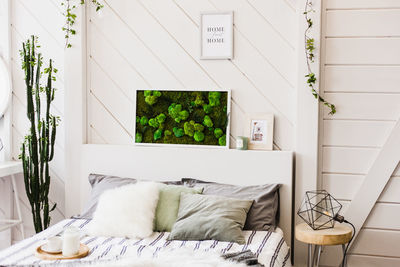 Potted plants on bed at home