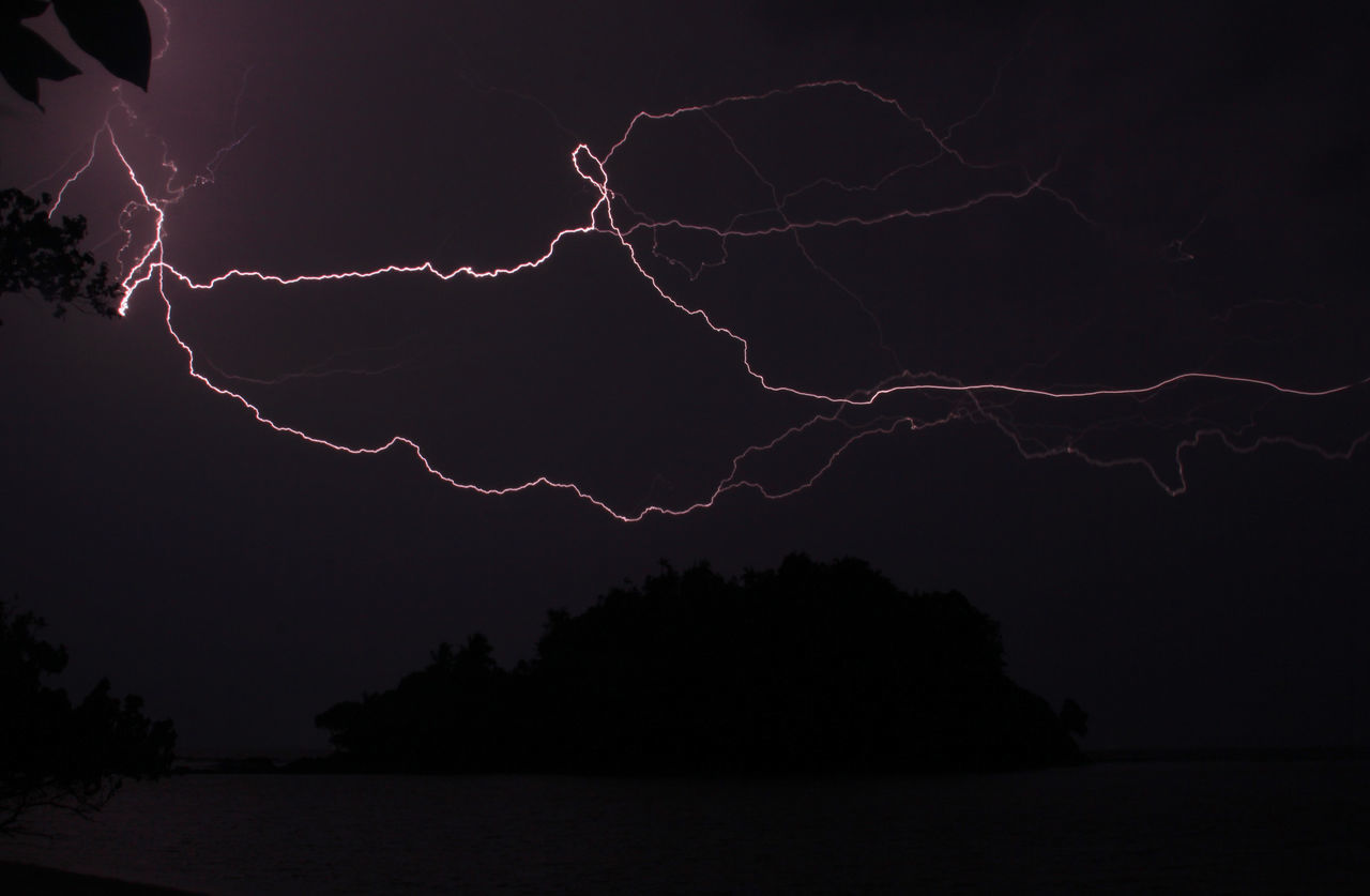 LIGHTNING IN SKY OVER SILHOUETTE TREES