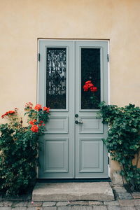 Flowering plants by closed door of house