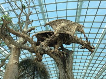 Low angle view of a bird on tree