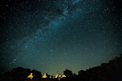 Low angle view of silhouette trees against star field at night