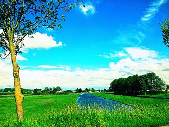 Scenic view of field against sky