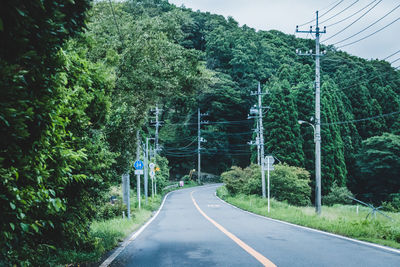 Road amidst trees against sky