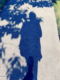 Shadow of man standing on snow