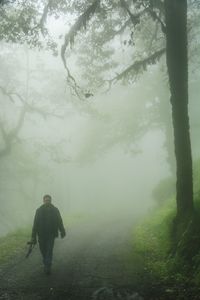 Man standing in forest