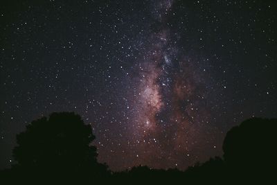 Low angle view of starry sky