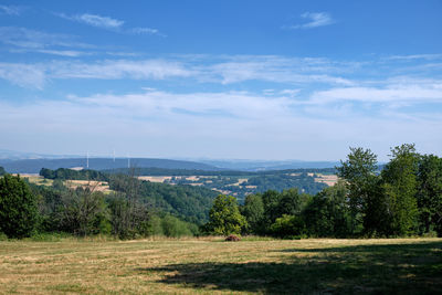 Trees on field against sky