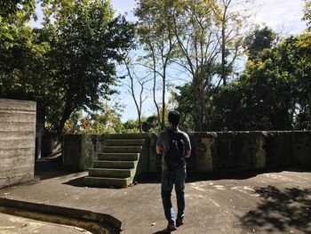 Rear view of man standing by trees