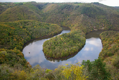 Scenic view of river amidst trees