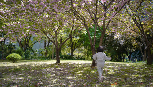 Rear view of man standing in park