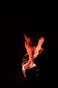 Close-up of bonfire against black background