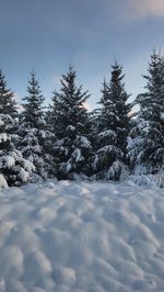 winter