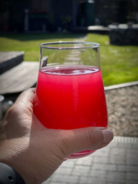 Close-up of hand holding red drink