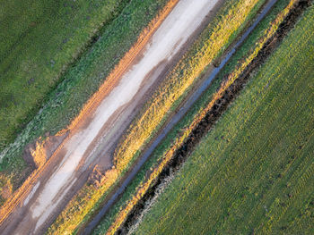 High angle view of agricultural field