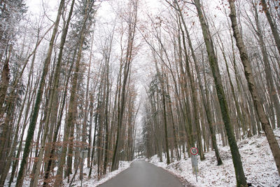 Road amidst trees in forest during winter