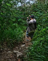 Rear view of a man in forest