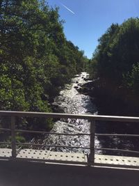 River amidst trees in forest against clear sky